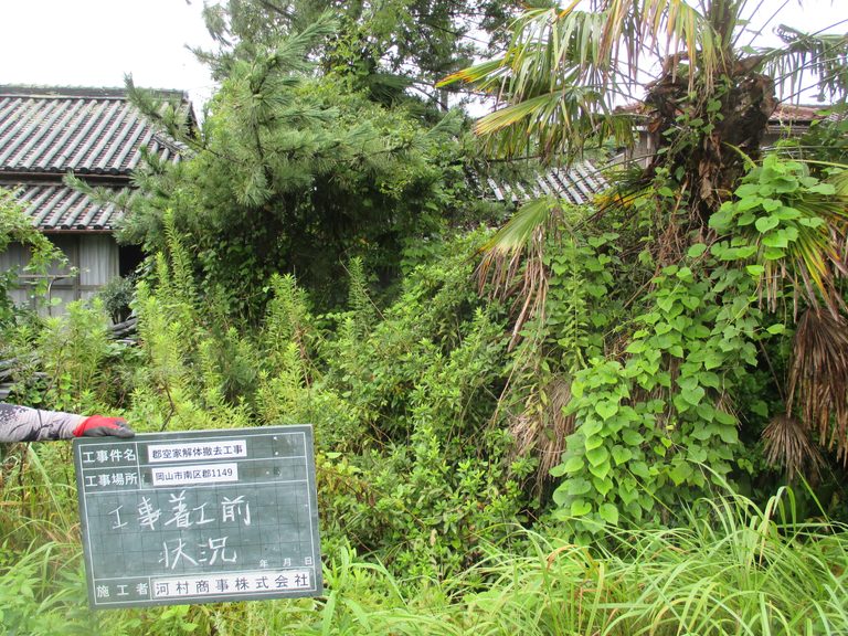 岡山市南区郡 空家の着工前状況｜屋根まで繁茂した樹木とツタ